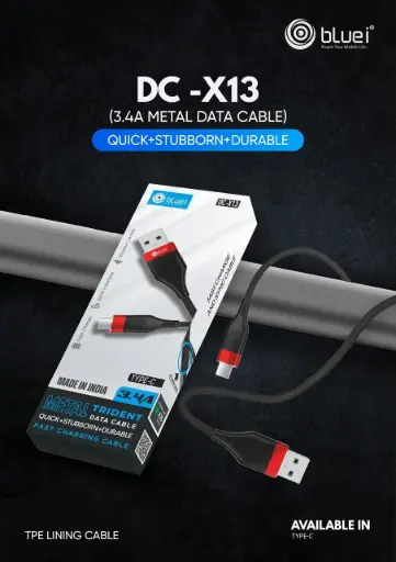 Bluei-DC-X13 (TypeC) Metal Cable