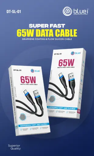 Bluei-DT-SL-01(Type C) 65w